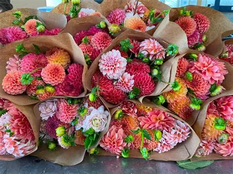 Late Summer Flower Share - 6 Weeks