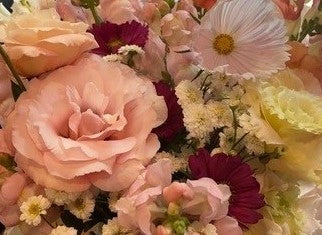Premium Full Season Flower Share - 12 Weeks